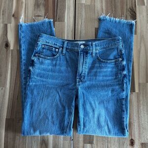 Madewell The Mid-Rise Perfect Vintage Jeans
